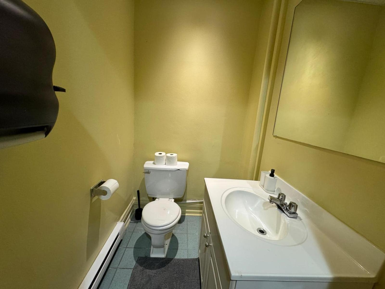 Nightlife With Sophistication & Style - Newly Renovated Downtown & Plateau * Montréal